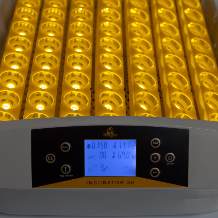Теплуша Europe 56 S ТЭНовый автоматический с овоскопом инкубатор 